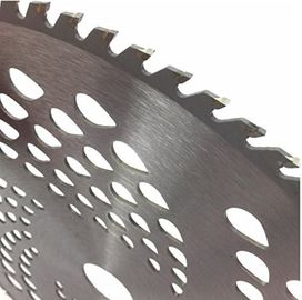 10 Inch TCT Cirkelzaagblad voor Bosmaaier 25.4mm Asgat